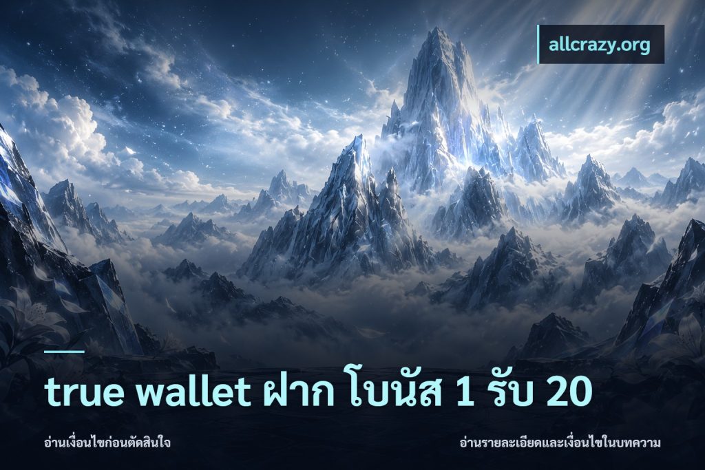 true wallet ฝาก โบนัส 1 รับ 20